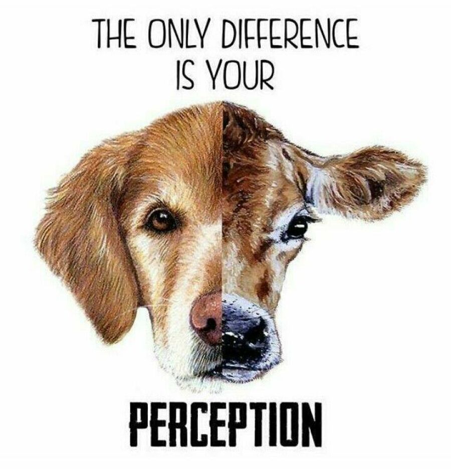 Imagem A-única-diferença-é-sua-percepção.